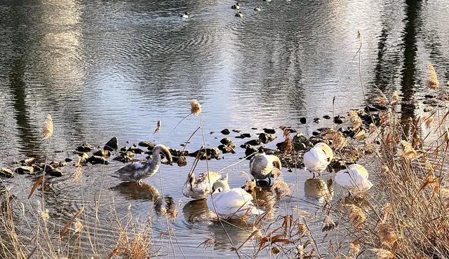 Foto: Heide Böllinger aus Bad Friedrichshall