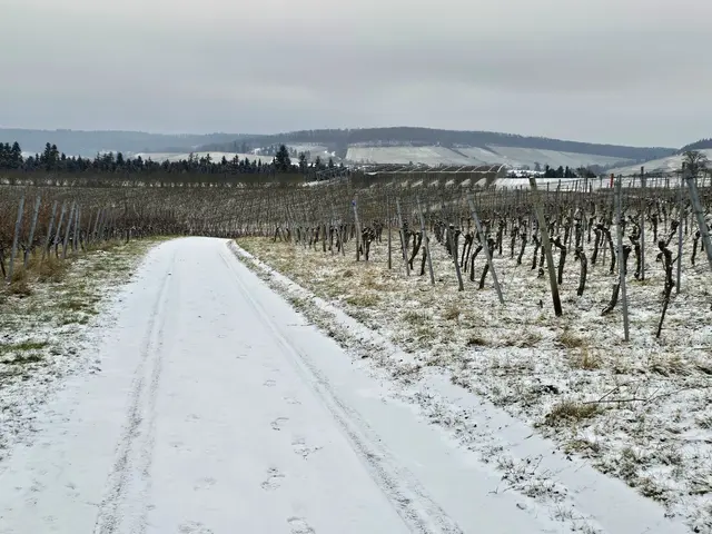 Foto: Heidrun Rosenberger