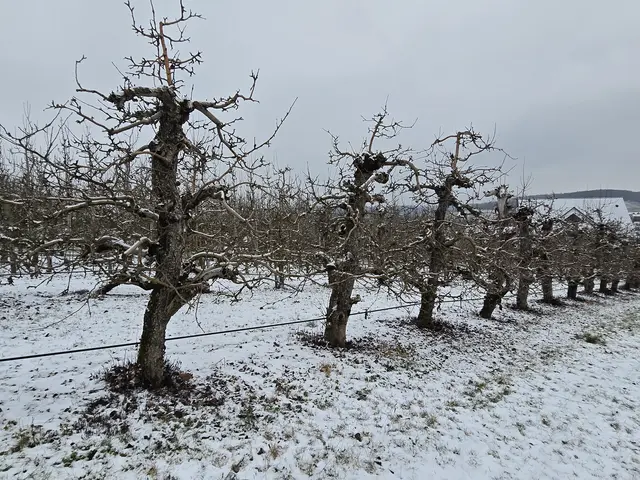 Foto: Heidrun Rosenberger