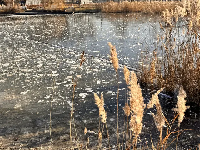 Foto: Heide Böllinger aus Bad Friedrichshall
