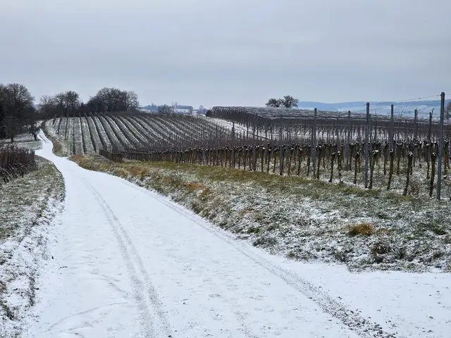 Foto: Heidrun Rosenberger