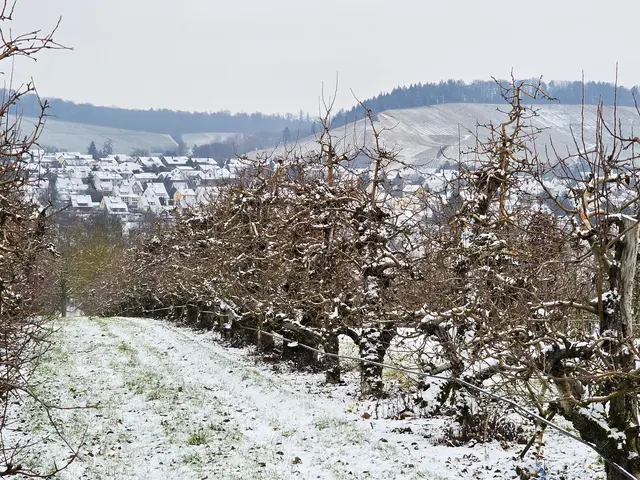 Foto: Heidrun Rosenberger