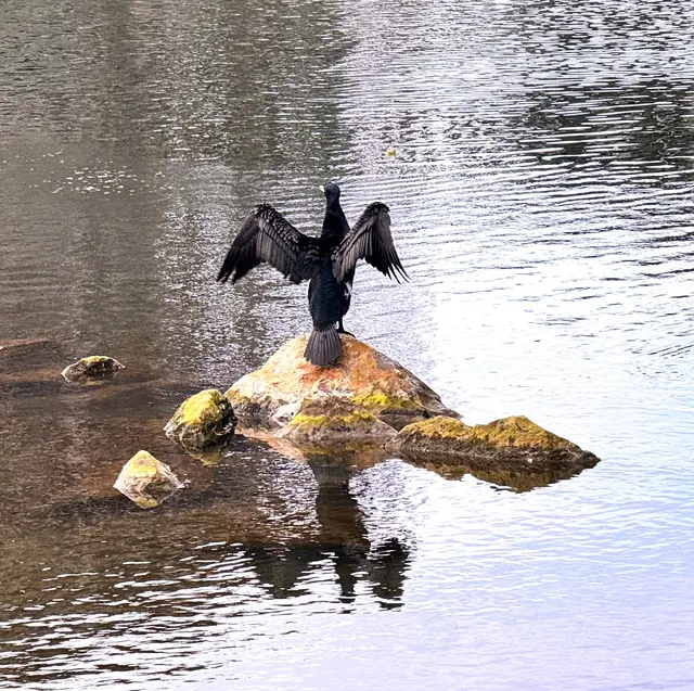 Foto: Heide Böllinger aus Bad Friedrichshall