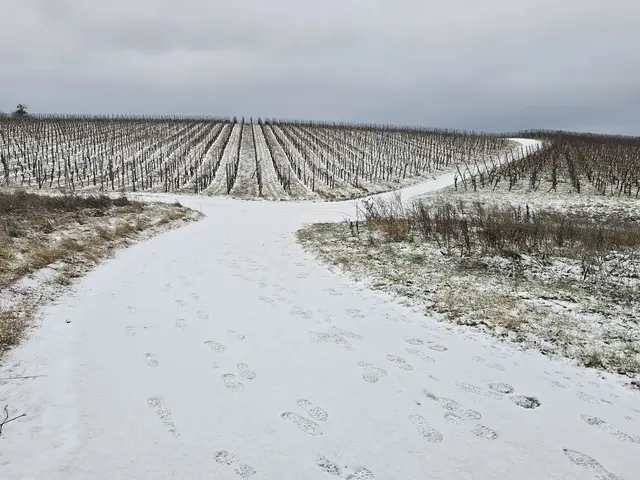 Foto: Heidrun Rosenberger