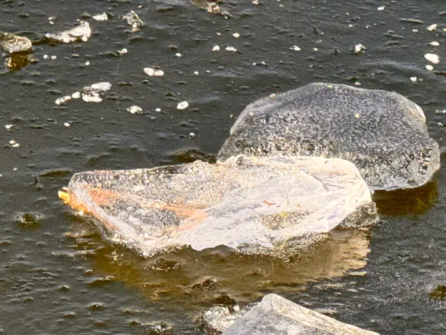 Foto: Heide Böllinger aus Bad Friedrichshall