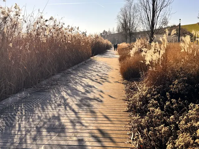 Foto: Heide Böllinger aus Bad Friedrichshall