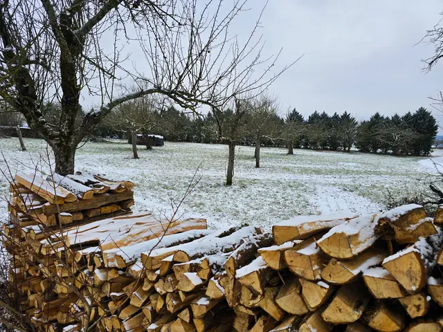 Foto: Heidrun Rosenberger