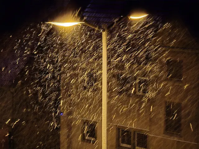 Foto: Heidrun Rosenberger