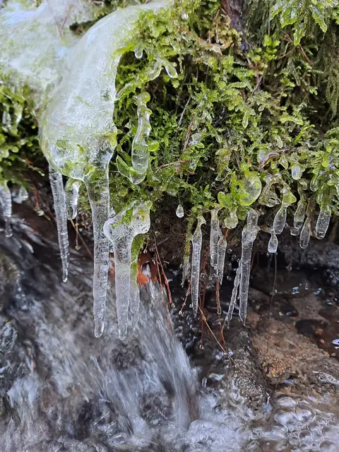Zapfig kalt | Foto: Andreas Odey