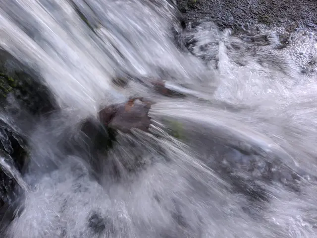 Kraftvolle Fließgeschwindigkeit am Bach | Foto: Andreas Odey