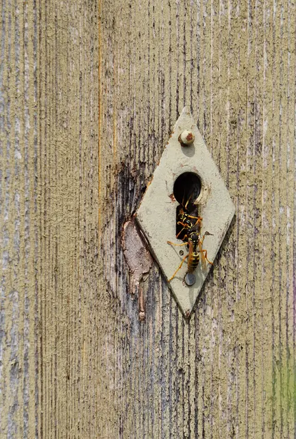 Wer durch das Schlüsselloch passt, muss die Tür nicht öffnen. | Foto: Martina Wolf