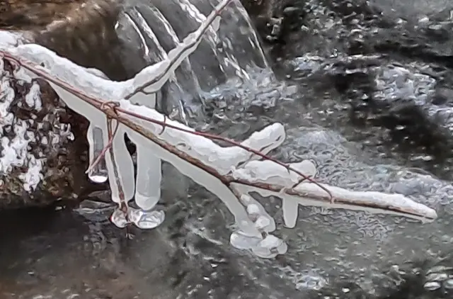 Kompakt umhüllt | Foto: Andreas Odey