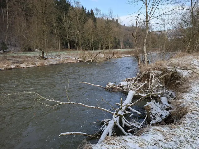 -7°C bissle raus ❄️❄️ | Foto: Ralf Röser