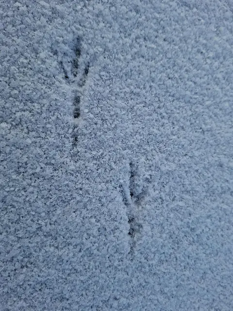 -7°C bissle raus ❄️❄️ | Foto: Ralf Röser