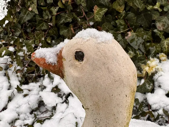 Foto: Heide Böllinger aus Bad Friedrichshall