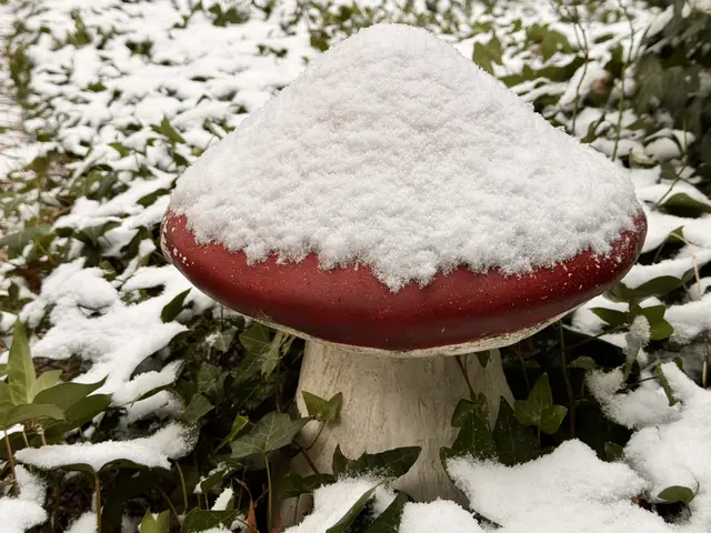 Foto: Heide Böllinger aus Bad Friedrichshall