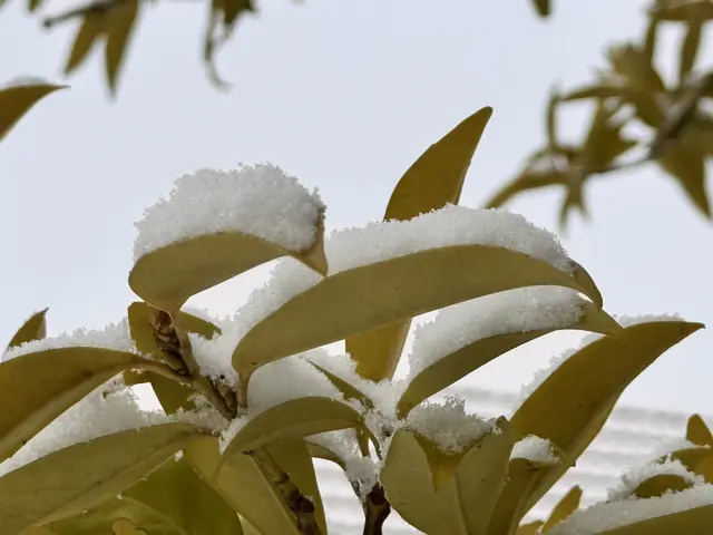 Foto: Heide Böllinger aus Bad Friedrichshall