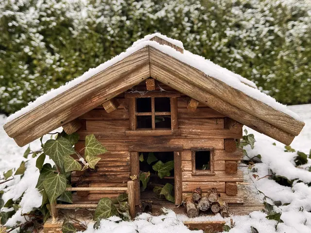 Foto: Heide Böllinger aus Bad Friedrichshall