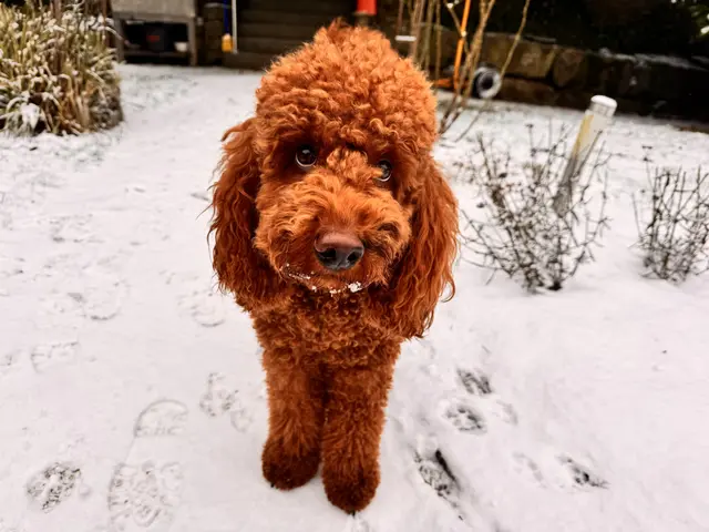 Foto: Heide Böllinger aus Bad Friedrichshall