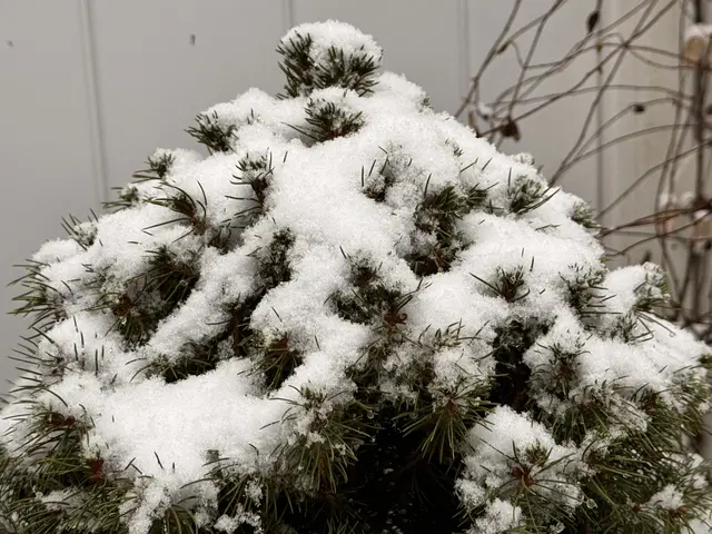 Foto: Heide Böllinger aus Bad Friedrichshall