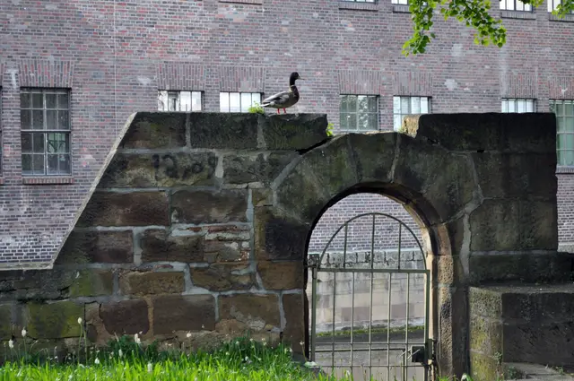 Heilbronn beim Hagebucher. Die Ente fühlt sich wohl auf dem alten Tor. | Foto: Daniela Somers