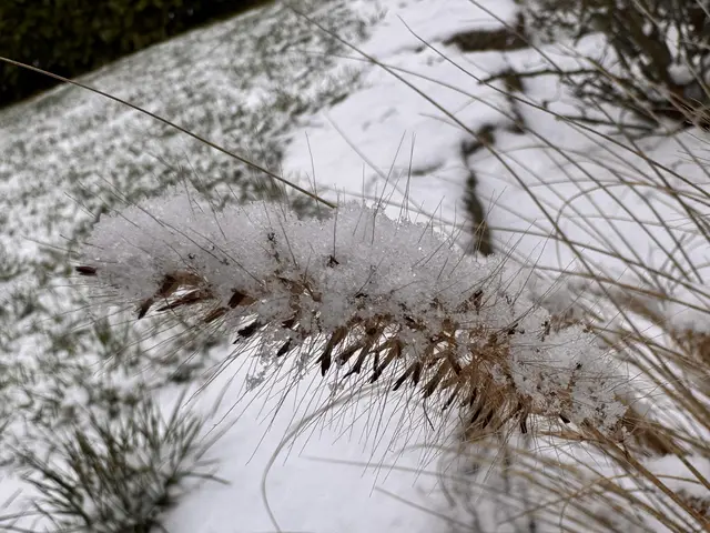 Foto: Heide Böllinger aus Bad Friedrichshall