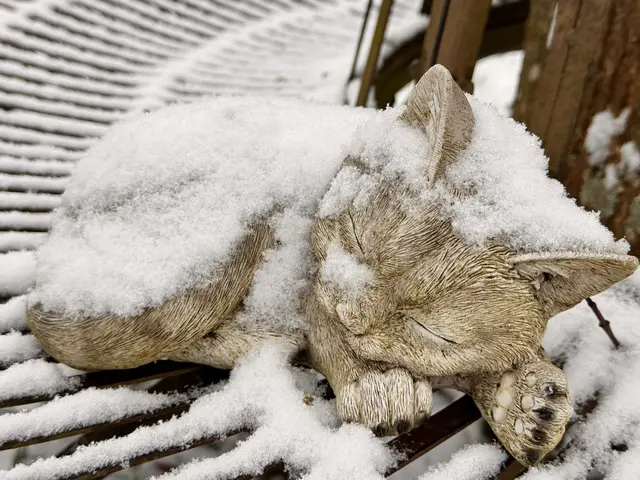 Foto: Heide Böllinger aus Bad Friedrichshall