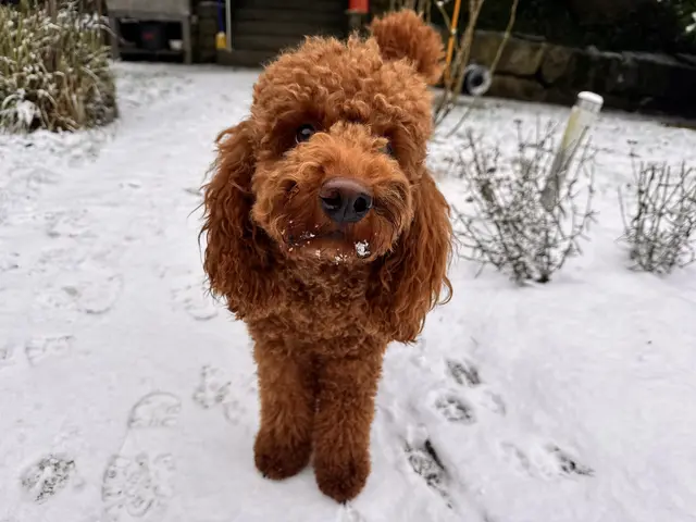 Foto: Heide Böllinger aus Bad Friedrichshall