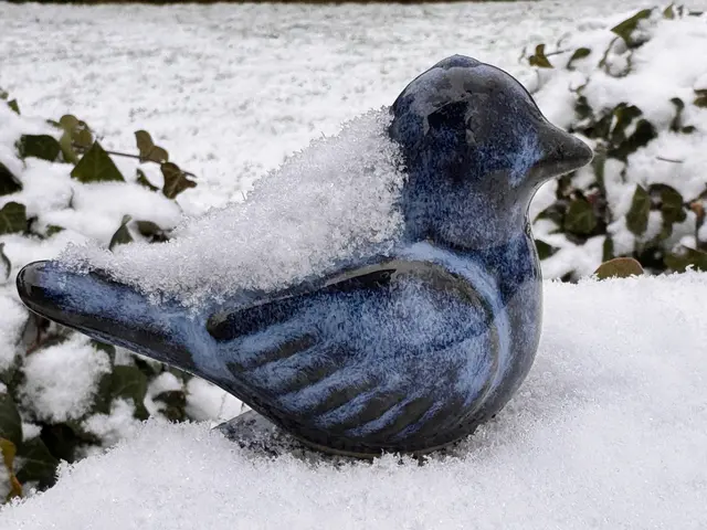 Foto: Heide Böllinger aus Bad Friedrichshall