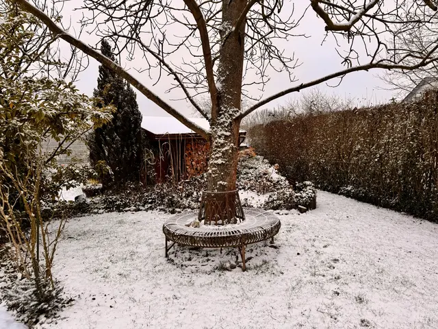 Foto: Heide Böllinger aus Bad Friedrichshall