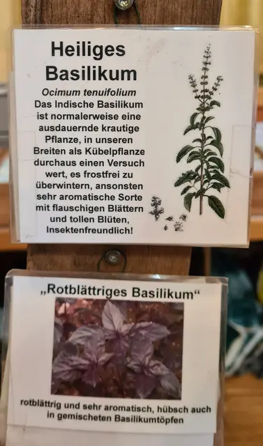 Foto: Hilde Mayer