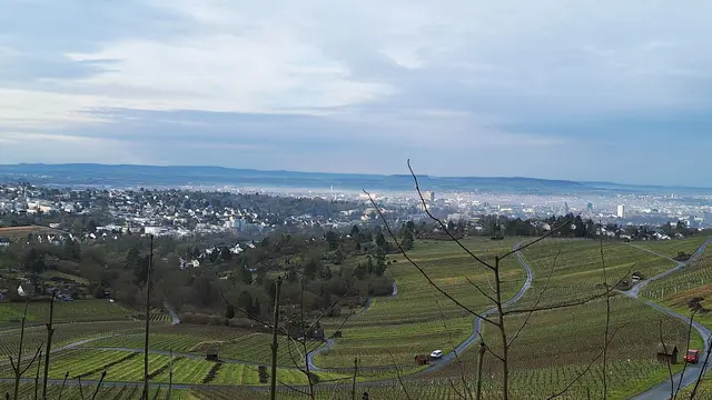 Noch liegt Nebel überm Neckar | Foto: Albverein Weinsberg