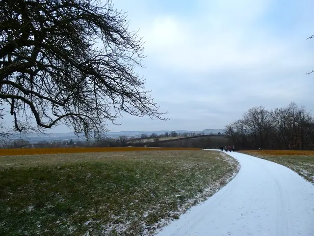 Entlang von Streuobstwiesen geht's bergab.  | Foto: sigischlottke