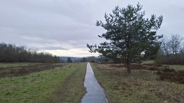 Gruppe 1 auf der Waldheide | Foto: Albverein Weinsberg