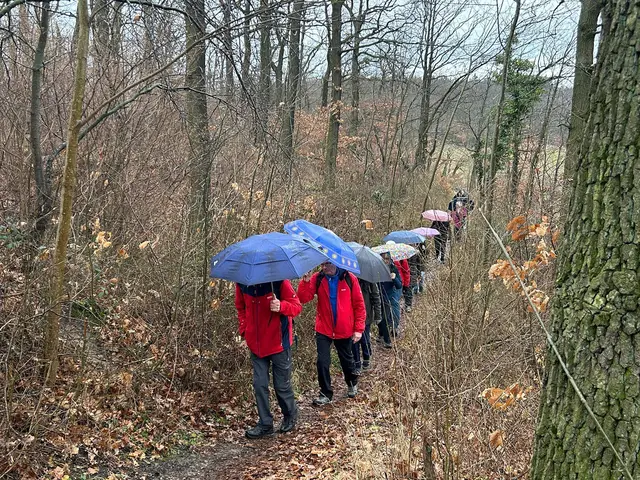 Bunte Schirme in Reih und Glied | Foto: Albverein Weinsberg