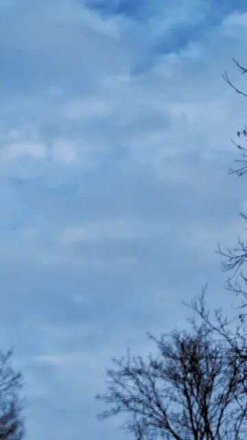 und hat es für einen Moment geschafft | Foto: Albverein Weinsberg