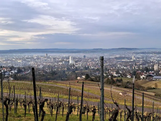 Noch einmal Heilbronn am Horizont Heuchelberg | Foto: Albverein Weinsberg