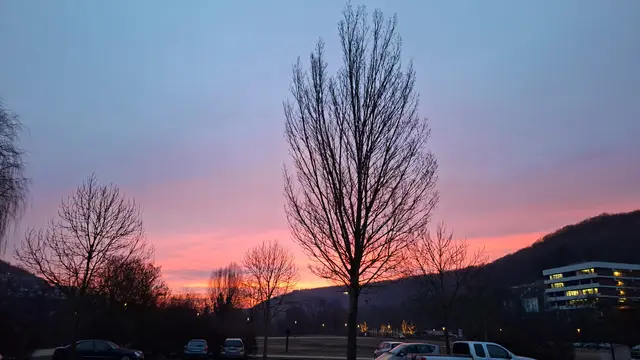 schee | Foto: Ralf Röser