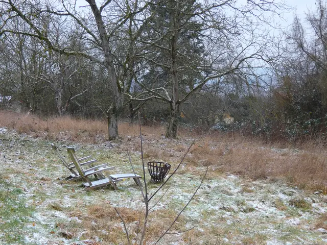 Wintergrillen???? | Foto: sigischlottke