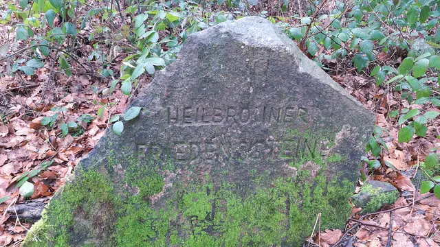 Wie wichtig in der heutigen Zeit | Foto: Albverein Weinsberg