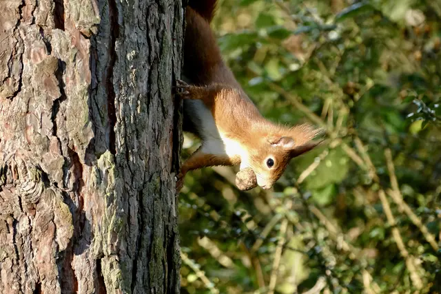 Haha gefunden, wer sagt es denn | Foto: ED