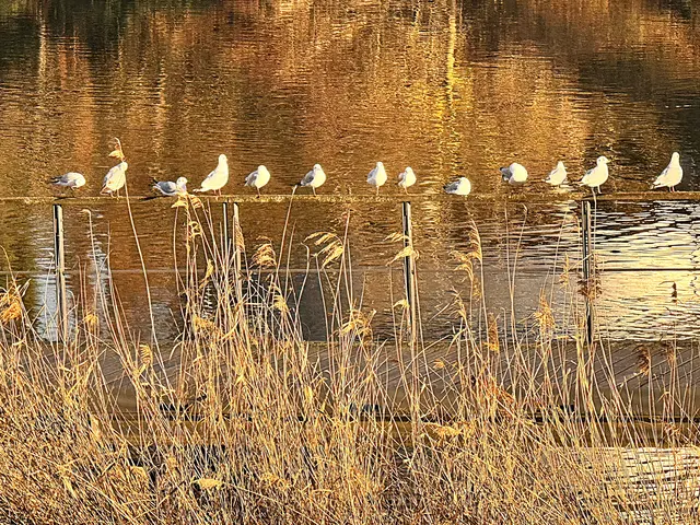 Foto: Heide Böllinger aus Bad Friedrichshall