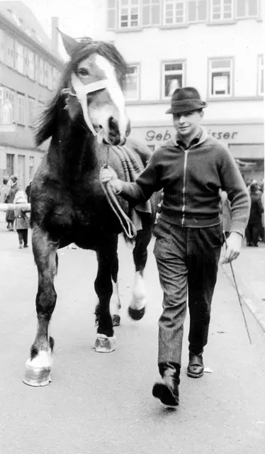 1951: Ein Foto vom Öhringer Pferdemarkt. | Foto: HZ-Archiv Reinhard Weber