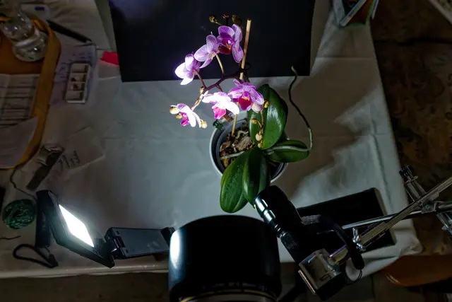 Links eine Leselampe, rechts eine 5W-LED-Taschenlampe - beide haben in etwa die selbe Lichtfarbe, was Voraussetzung für diese Art von Beleuchtung ist. | Foto: WKY