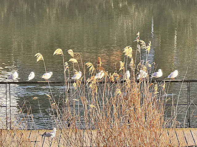 Foto: Heide Böllinger aus Bad Friedrichshall