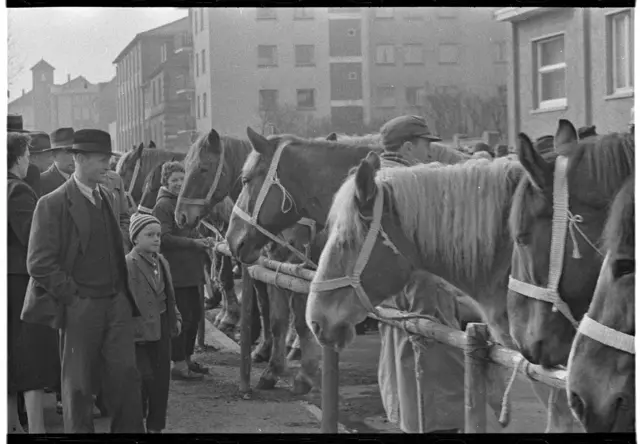 Undatierte Aufnahme des Pferdemarkts Heilbronn. | Foto: Hermann Eisenmenger/Heilbronner Stimme/Stadtarchiv