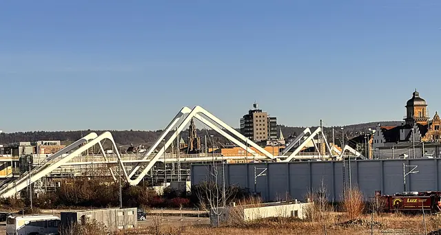 Foto: Heide Böllinger aus Bad Friedrichshall