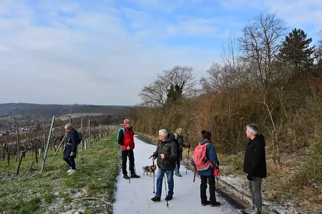 Oben am Wunnenstein ein bisschen rumgucken. Auf den Turm mit Besteigung haben wir heute verzichtet.  | Foto: Michael Harmsen 