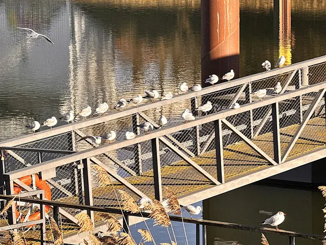 Foto: Heide Böllinger aus Bad Friedrichshall