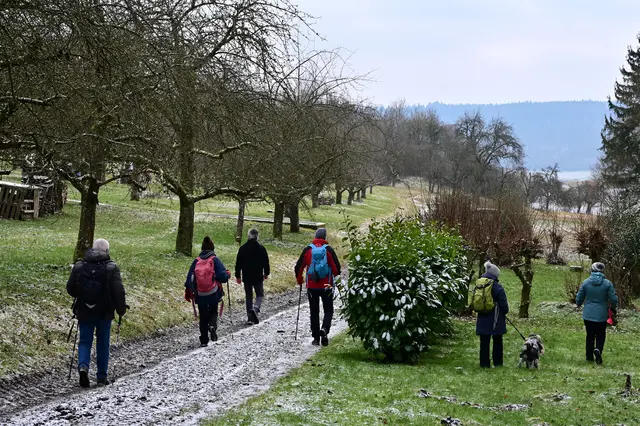 Entlang von Streuobstwiesen führt uns der Weg zurück nach Oberstenfeld.  | Foto: Michael Harmsen 